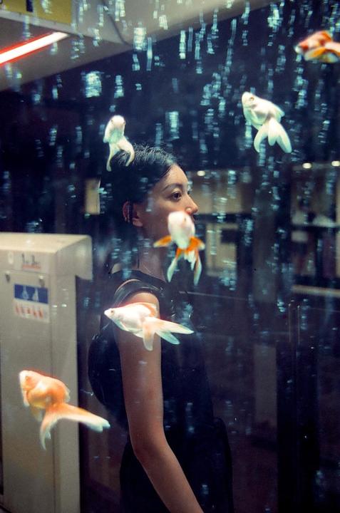 A woman with dark hair looks to the right, with several goldfish swimming in front of her.