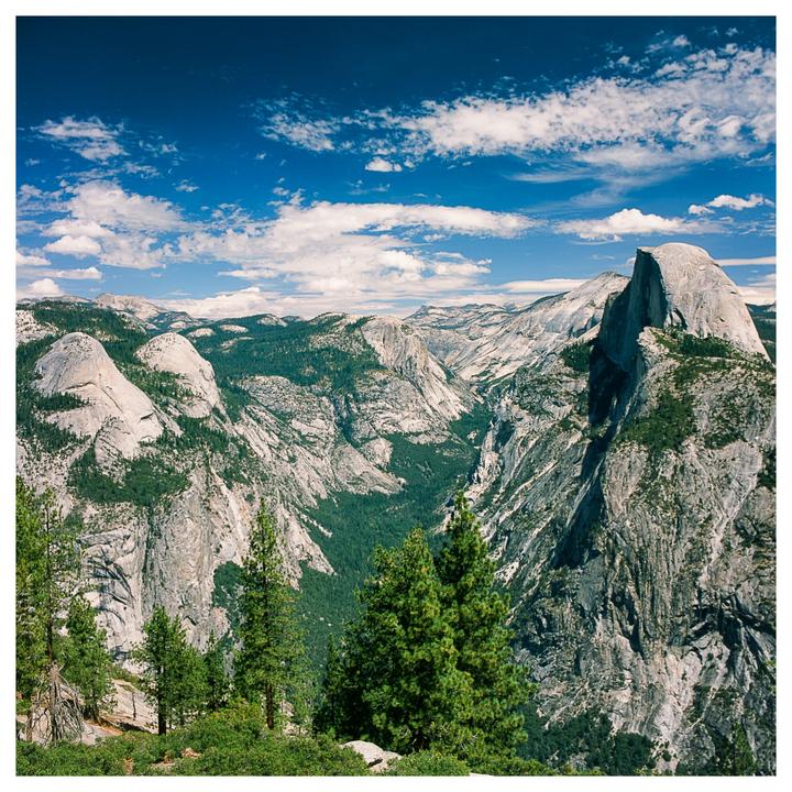 Yosemite National Park [Hasselblad 500C/M, 50mm f4, Fuji Provia 100f/Kodak Ektar 100/Kodak Gold 200]