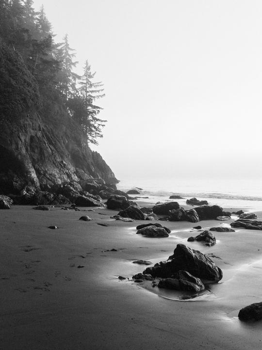 A foggy beach with rocks and a cliff covered in trees is visible.