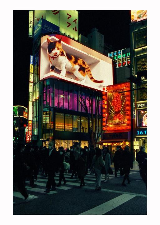Shinjuku, Tokyo. Cinestill 800, Canon EOS 3, Canon 35mm Ultrasonic lens.