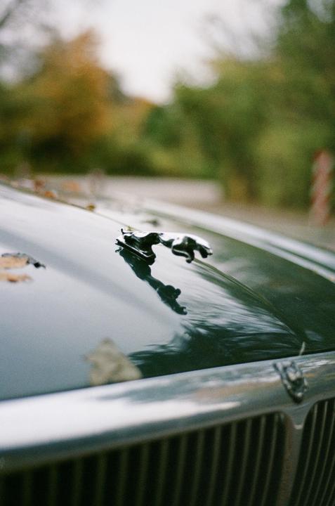 First roll on my first SLR [Minolta XD5, MD 50mm f/2, UltraMax 400]