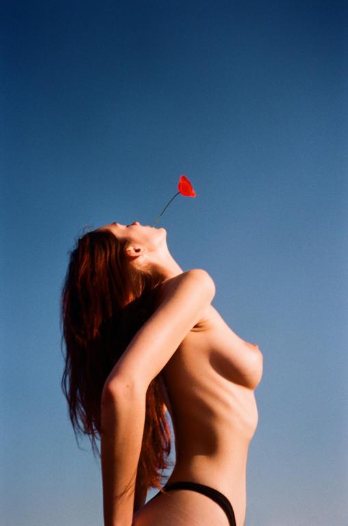 image 4088 by elcansky