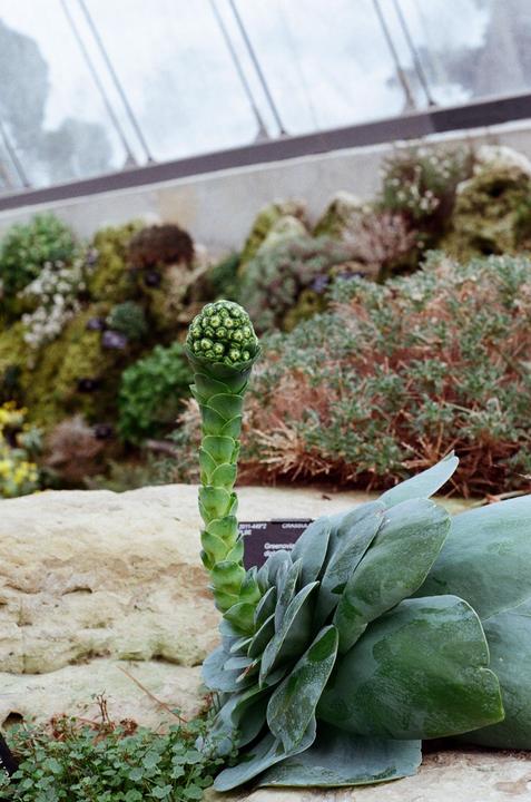Kew Gardens - I’d really welcome any criticism!
