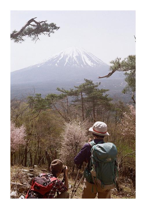 Taking it in [Canonet QL17, Portra 400]