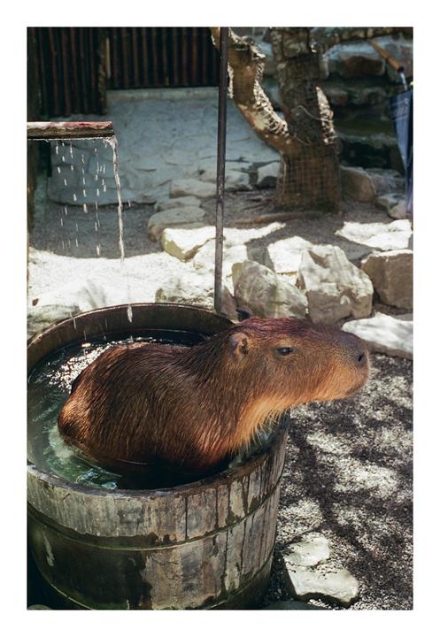 Don't disturb me! [Olympus OM-1, Vision 250d]