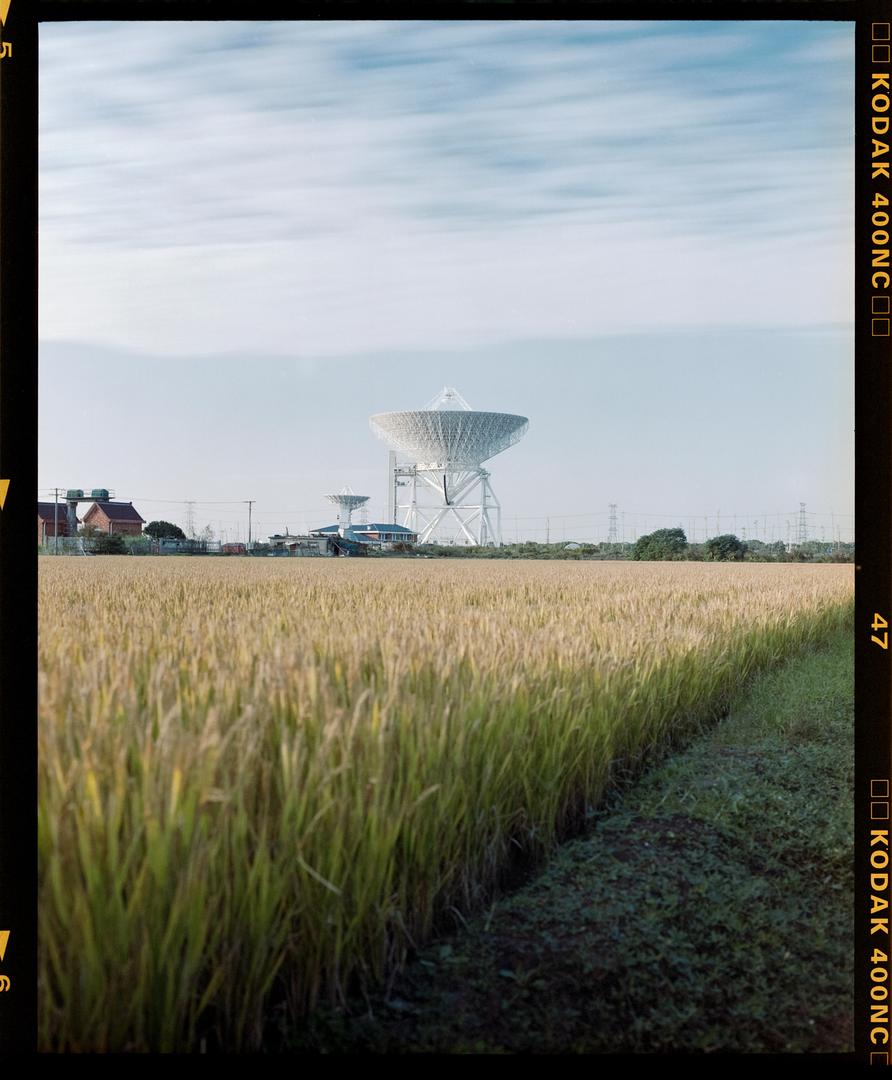 image 36176 by Best-Emergency1505