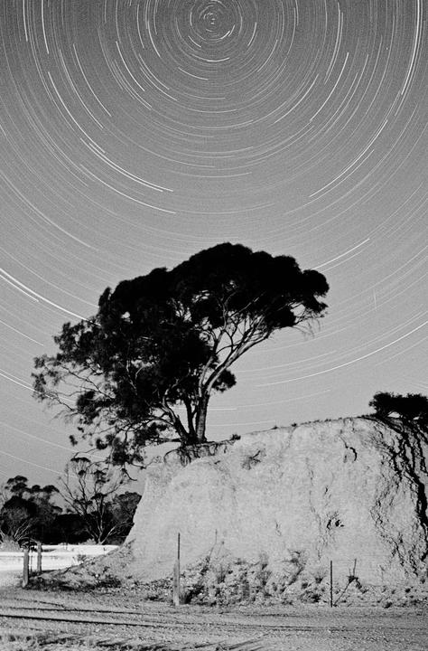 A tree stands on a hill under a sky filled with star trails.