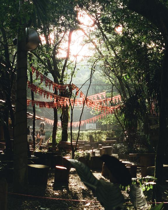 A park in in the morning in Medellin (Pentax 645n / Cinestill 400D / 75mm 2.8)
