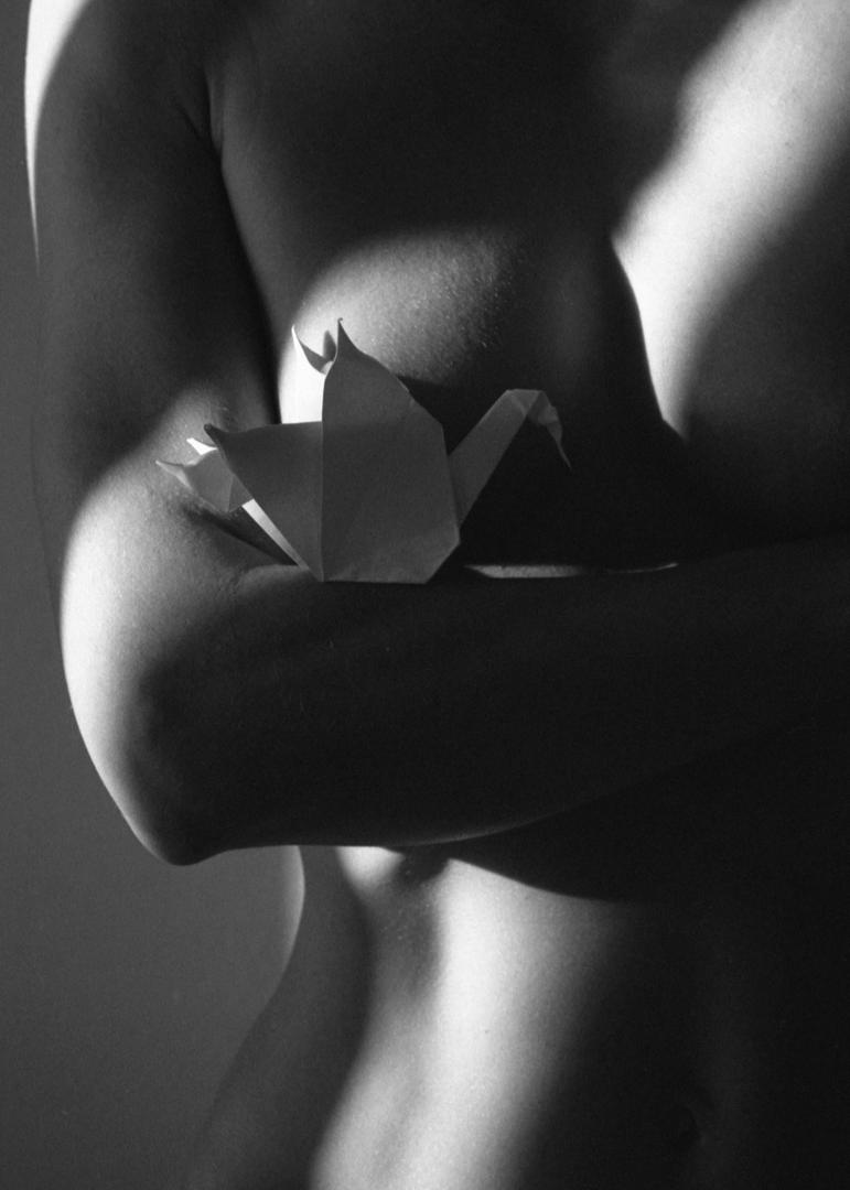 image 30449 by Linartica