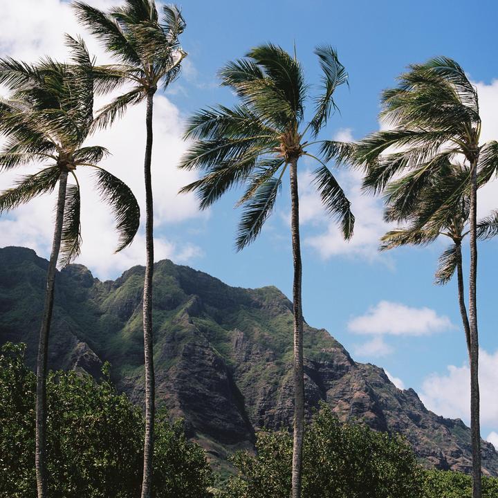 Hawaii | Hasselblad 500 | Zeiss 80mm | Ektar 100