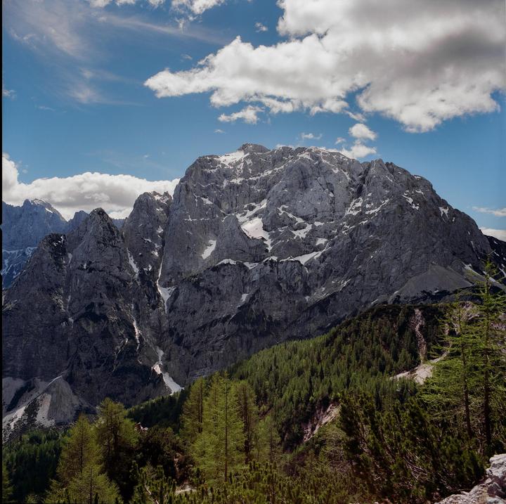 A large, snow-capped mountain rises above a forest of evergreen trees under a blue sky with white clouds.