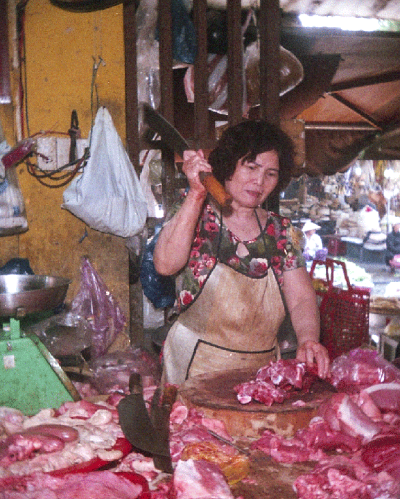 Vietnam, Nishikia N8000