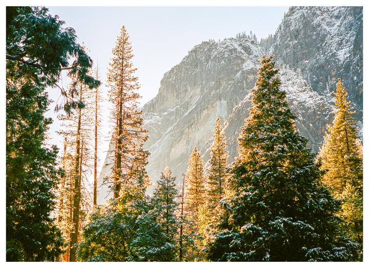 fresh dusting in yosemite | minolta CLE + m-rokkor 40mm f/2 | portra 400