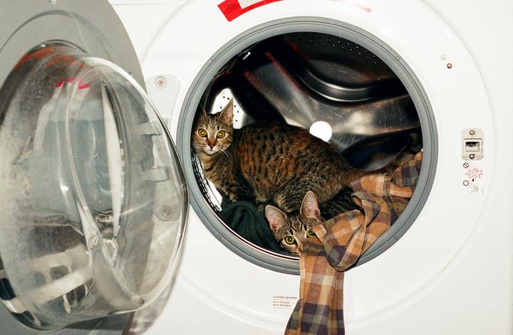 dirty pussy / canon ef & fujicolor 200