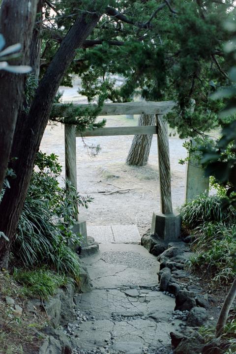 Japanese Seaside Shrine- Nikon F3 and Portra 160