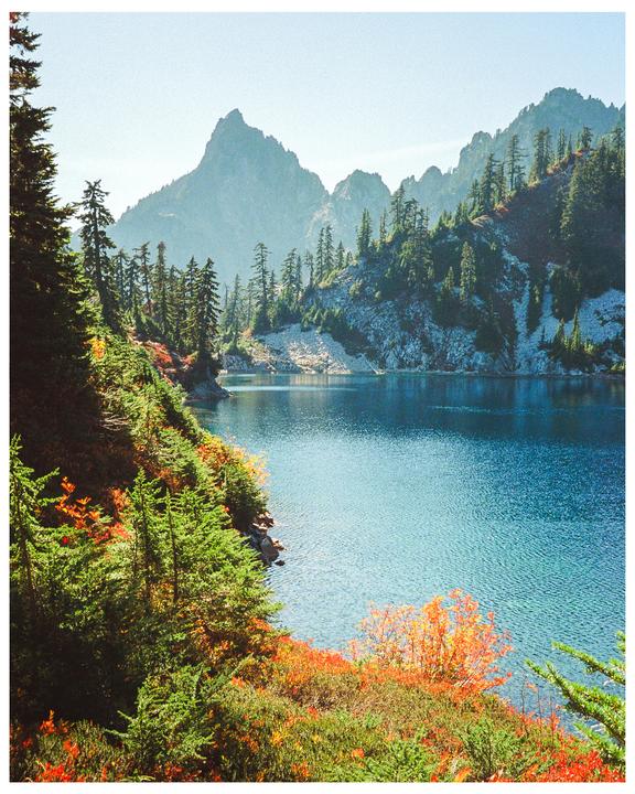 autumn in the cascades | canonet giii ql17 | portra 800