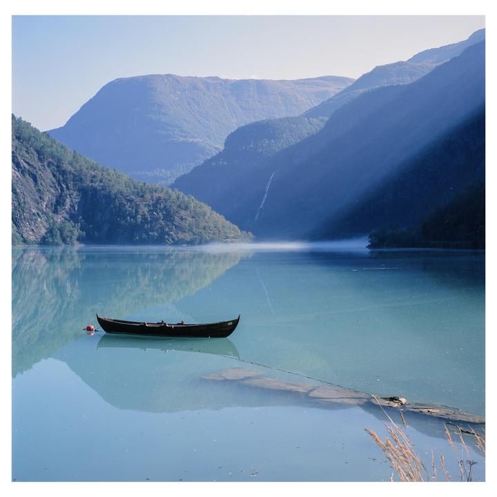 1 or 2?(Hasselblad 501cm, Velvia 50, 80mm CB)