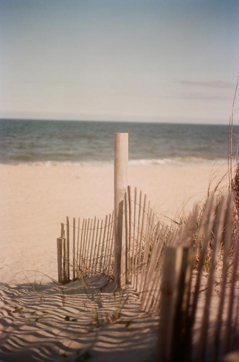 Beach Pathway: Cannon A1/50mm Lens/Porta 400