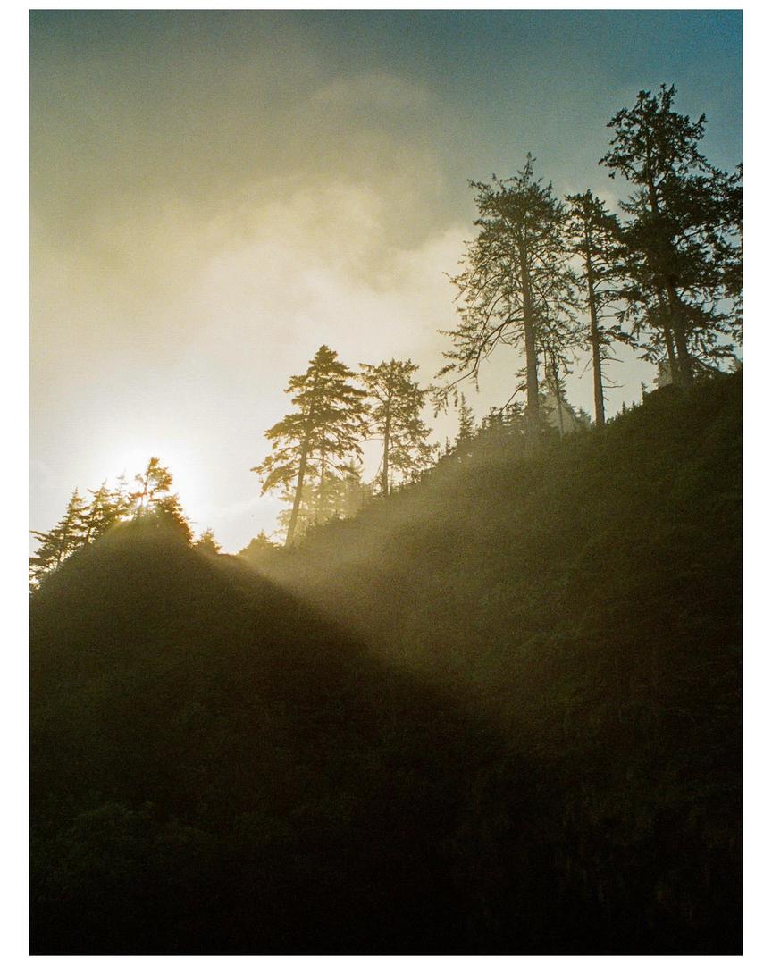 Oregon & Washington trip [Nikon FM2n, Olympus Stylus 35 f3.5, various lenses and films], shot on nikon
