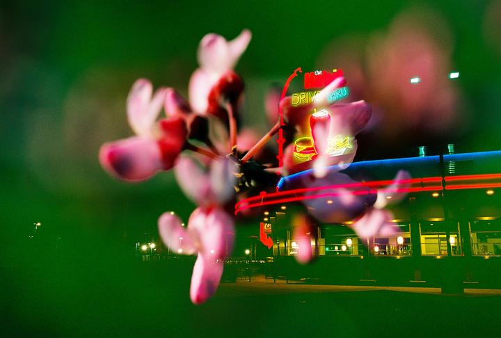 Accidental Macro Double Exposures on Long Exposures [Canon EOS 3, 100mm 2.8 L + 24-70mm 2.8 L, 35mm Kodak Portra 160]