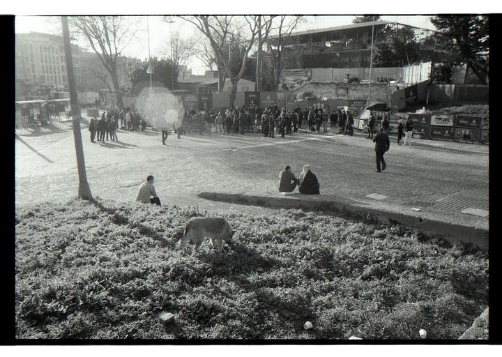 what could be causing the glare in the photo? filmed with a Fomapan 400 film