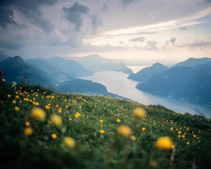 Pentax 67 / 55mm / Provia & Ektar