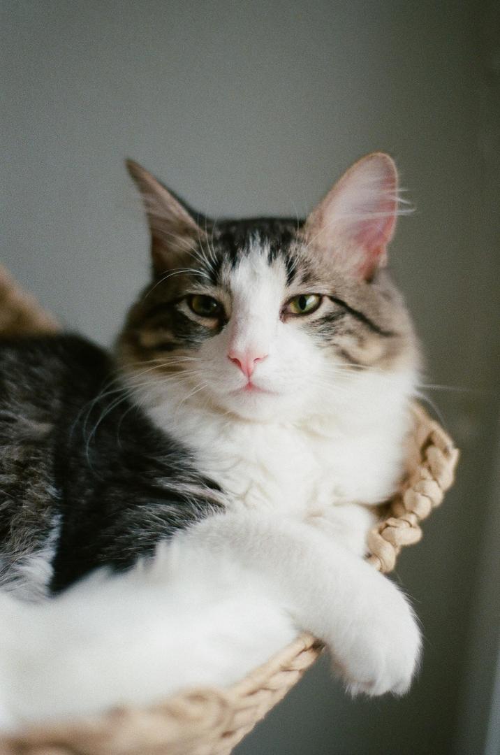 image 35968 by Silly_Candle9914