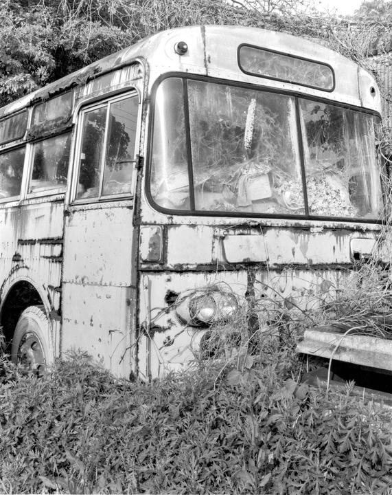 An old, rusty bus is overgrown with plants and vines.