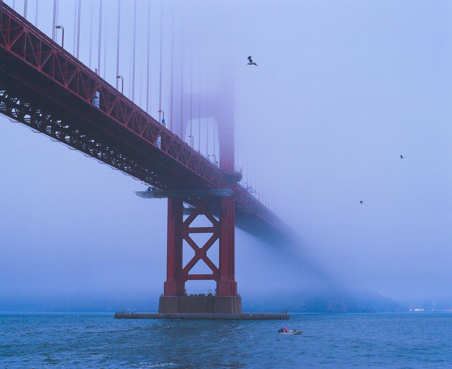 image 36055 by Beer_and_potatoes