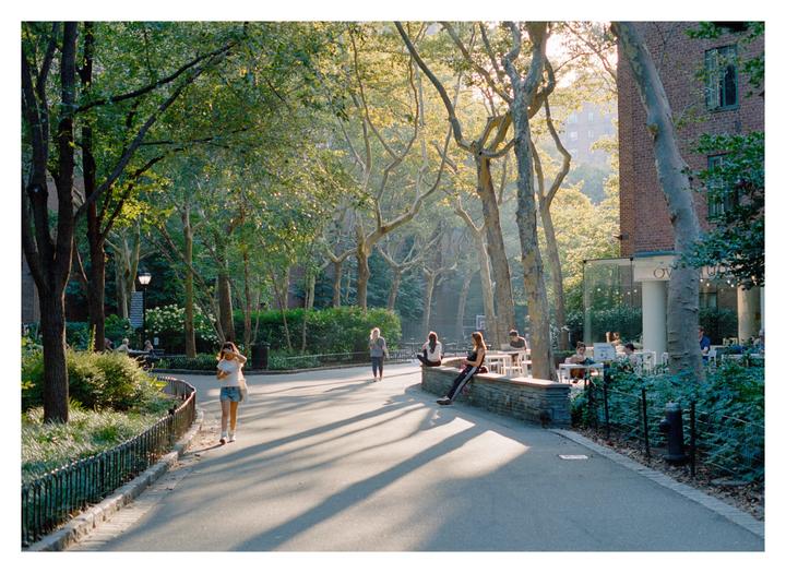 [OM-1N/2N, Portra 400, misc lenses] Manhattan glow