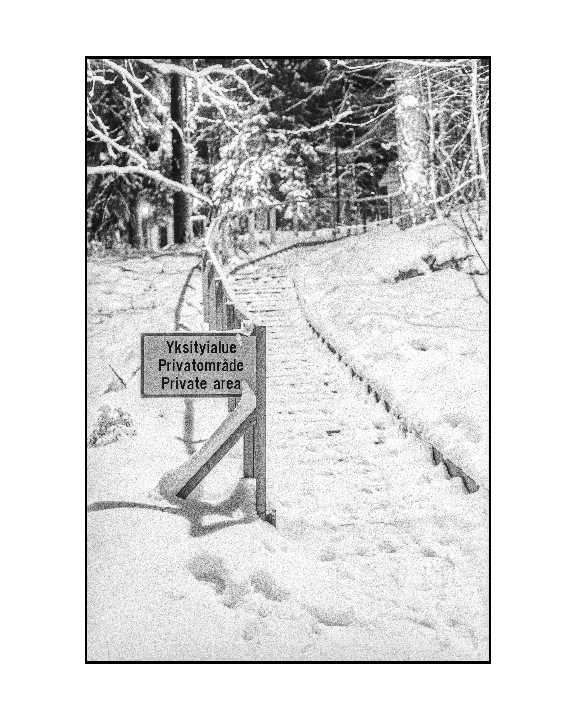 Private Area Triptych [Cosina CT-7, Vivitar 35mm f2.8 & Chinon 50mm f1.7, Ilford Delta 100 Pro, Caffenol-C-M(RS)+Salt]