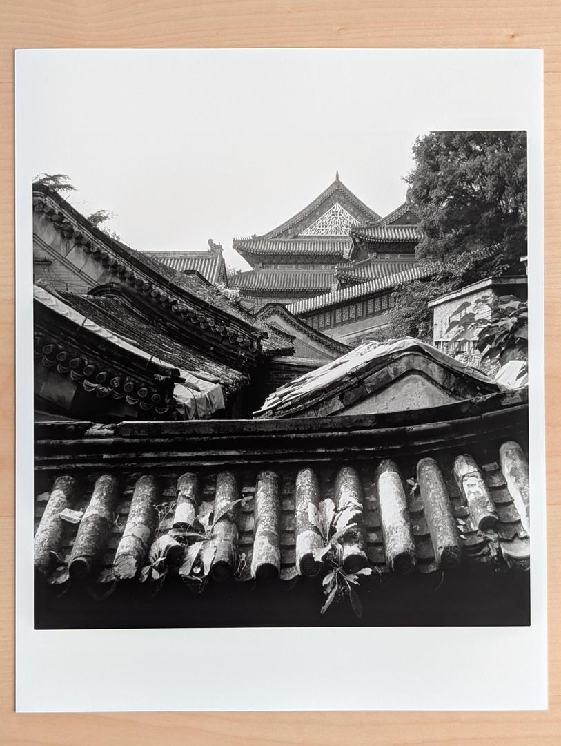 image 35861 by CilantroLightning