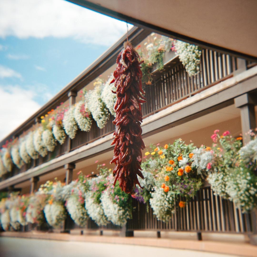 image 36056 by ZaBateleur