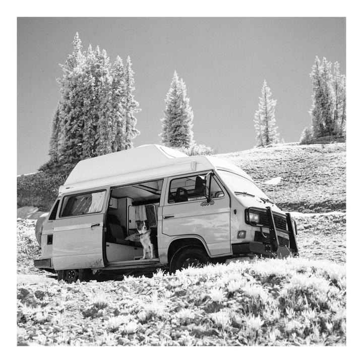 Otherworldly Journey | Hasselblad 500CM | 80mm f2.8 | Rollei Infrared 400 | R72 Filter