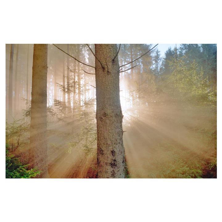 Let it glow | Leica MP + Elmarit 28 | Portra 400