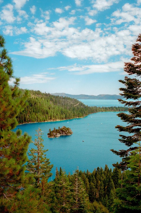A small island covered in trees sits in a large blue lake surrounded by a forest under a blue sky with white clouds.