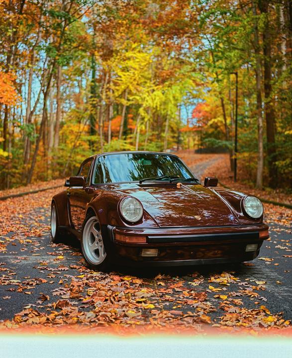 Fall, Film, and Old Porsche’s ( Fujifilm gf670 | Kodak Ektar 100)