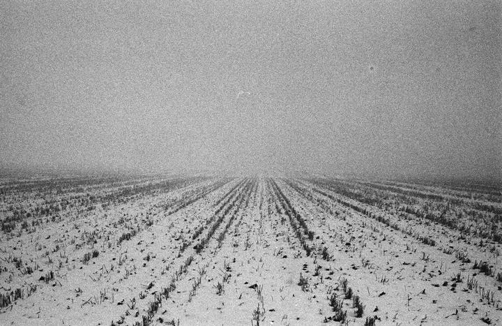 Nothingness (Contax II 50mm Kodak Double-X)
