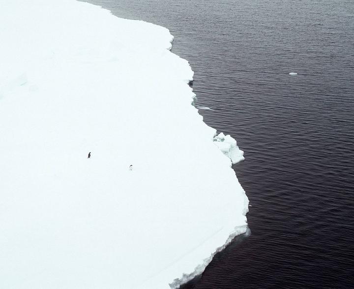 Two penguins stand on a large ice floe next to dark water.
