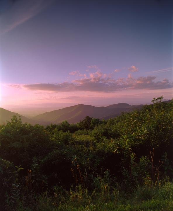 First Post! Shenandoah National Park, Virginia, U.S.  [Mamiya RB67, Sekor C 90mm, Sekor C 250mm, Fuji Velvia 50]