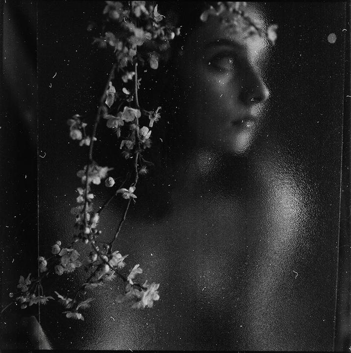 Mamiya c330 rollei superpan
