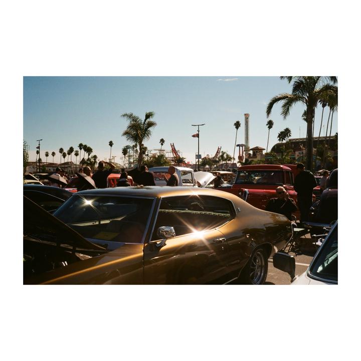 California fall | Canonet 28 | Gold 200