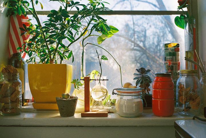 The Kitchen Window - Leica M7, 50mm Voigtlander Nokton, Kodak Portra 400