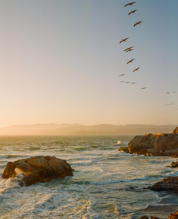 Lands End, Mamiya7+65mm f4, Portra800