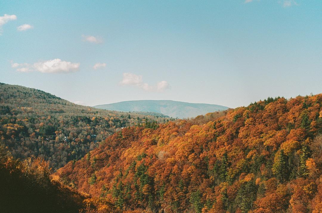 image 36030 by Icy-Cheesecake2978