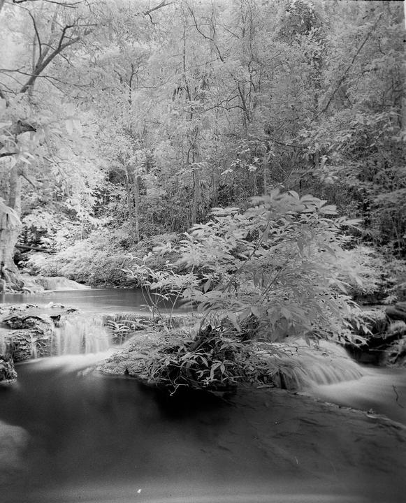 A waterfall cascades into a pool surrounded by lush foliage in a forest.