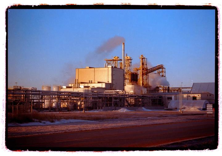Which edit do you prefer? ~ kodak gold ~ canon ae1 pro