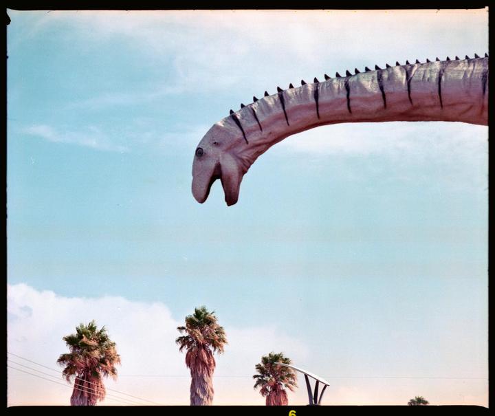 Dinosaurs and expired film [Mamiya RB67, Lomo 800]