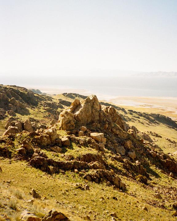 They're taking the hobbits to isengard (Olympus XA // Gold 200))