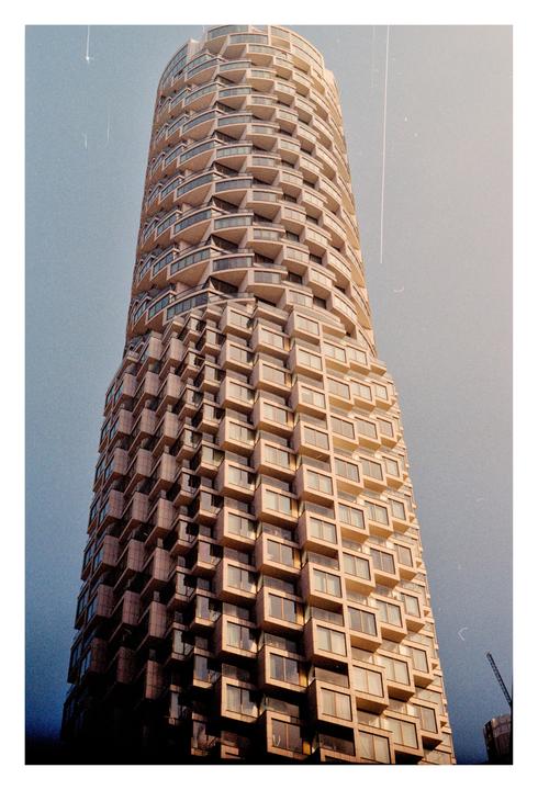 Gold [Canon AV-1, 50mm f/1.8, Gold 200]